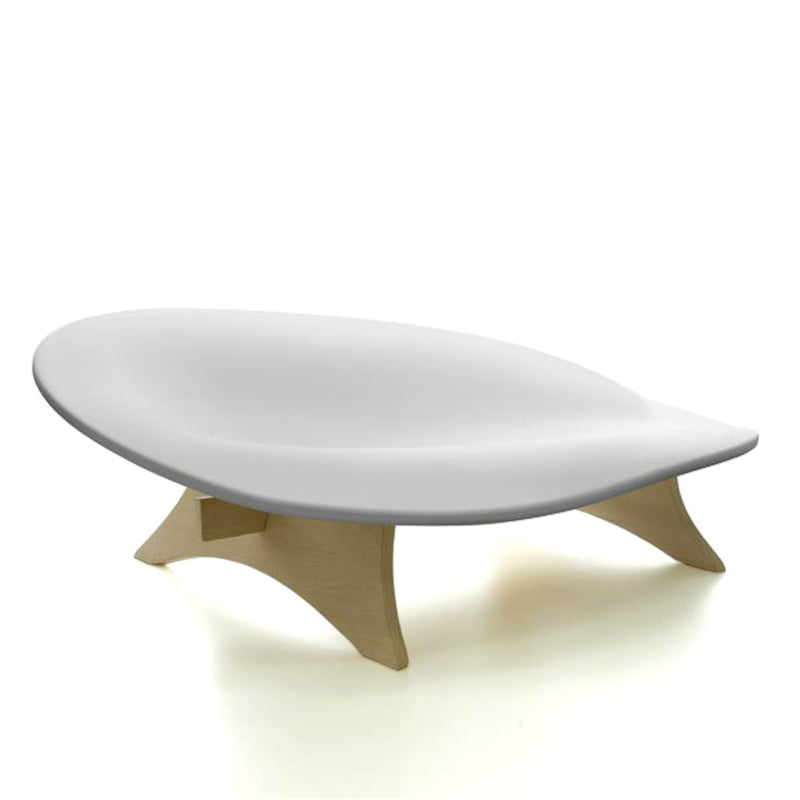Special Chair